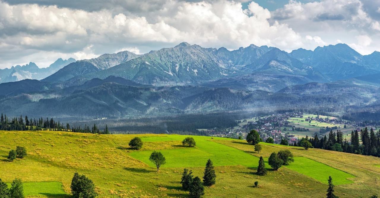 Apartament Perelka Przy Krupowkach Zakopane Dış mekan fotoğraf